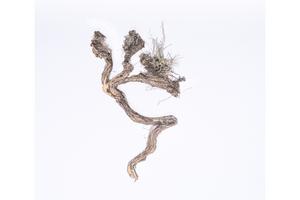 skeins of broken life #3