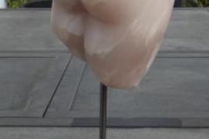 Frauentorso