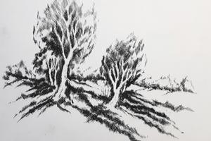 Bäume