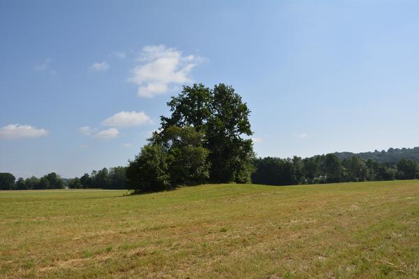 Einzelner Grabhügel in Wolfau an der Lafnitz