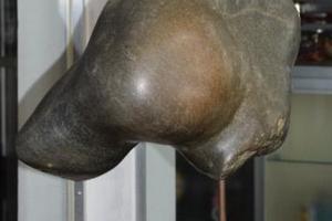 Männlicher Torso