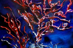 Save Coral Reefs I