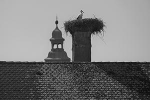 Stadtschlaining