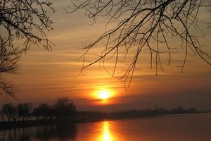 Zicksee