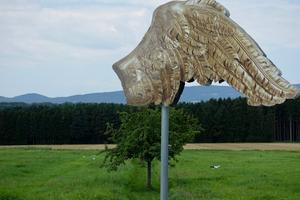 Wing of an Angel