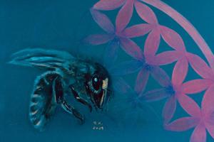 Biene labt sich an Überlebensblume