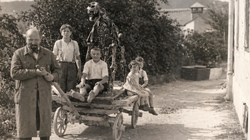 Höhlenbär wird auf alten Holzwagen ins Landesmuseum gebracht, s/w, optimiert