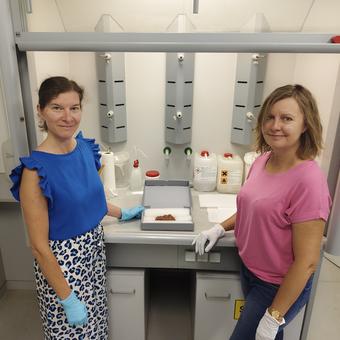 Restauratorin Kathrin Schmidt und Judith Schwarzäugl vom Landesmuseum Burgenland mit dem Bernsteinwolf