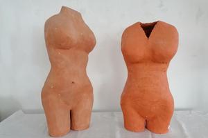 Torso