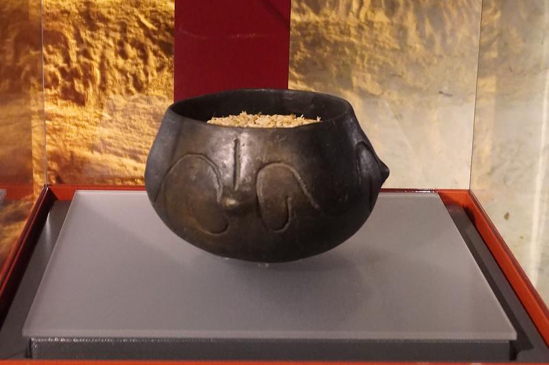 Frühneolithisches Gefäß aus Winden im Landesmuseum Burgenland (Eisenstadt) Frühneolithisches Gefäß aus Winden im Landesmuseum Burgenland (Eisenstadt)