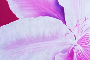 Clematis 3.0