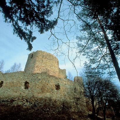 Burgruine Landsee