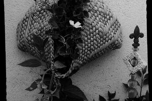 Hofgassenschmuck