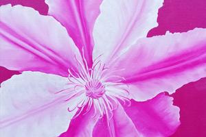 Clematis 1.0