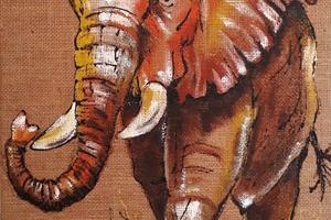 Elefant