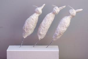 Schräge Vögel