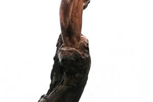 Weiblicher Torso