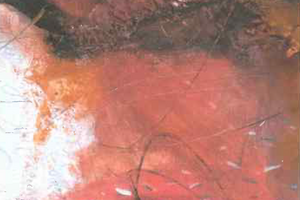 Feuer